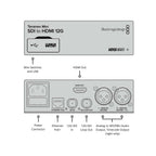 Teranex Mini SDI To HDMI 12G