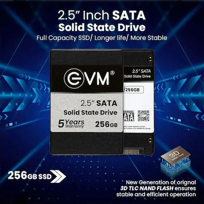 EVM SSD 2.5" SATA3 256GB