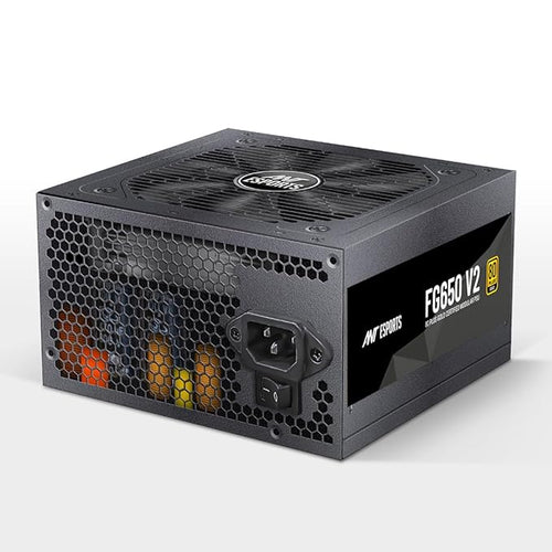 ANT ESPORTS 80+ GOLD 650 WATTS SMPS - FG650V2