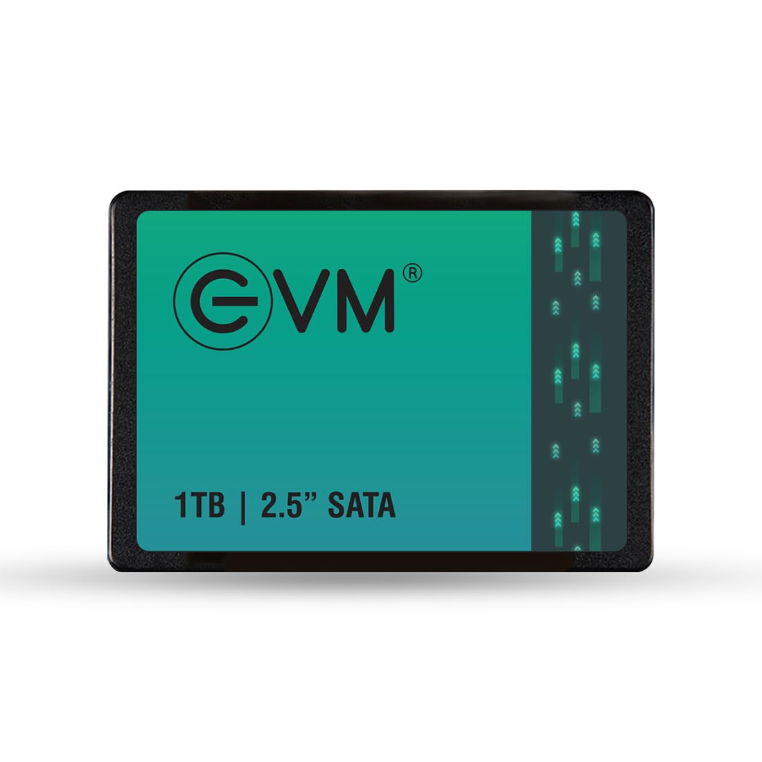 EVM SSD 2.5" SATA3 1TB