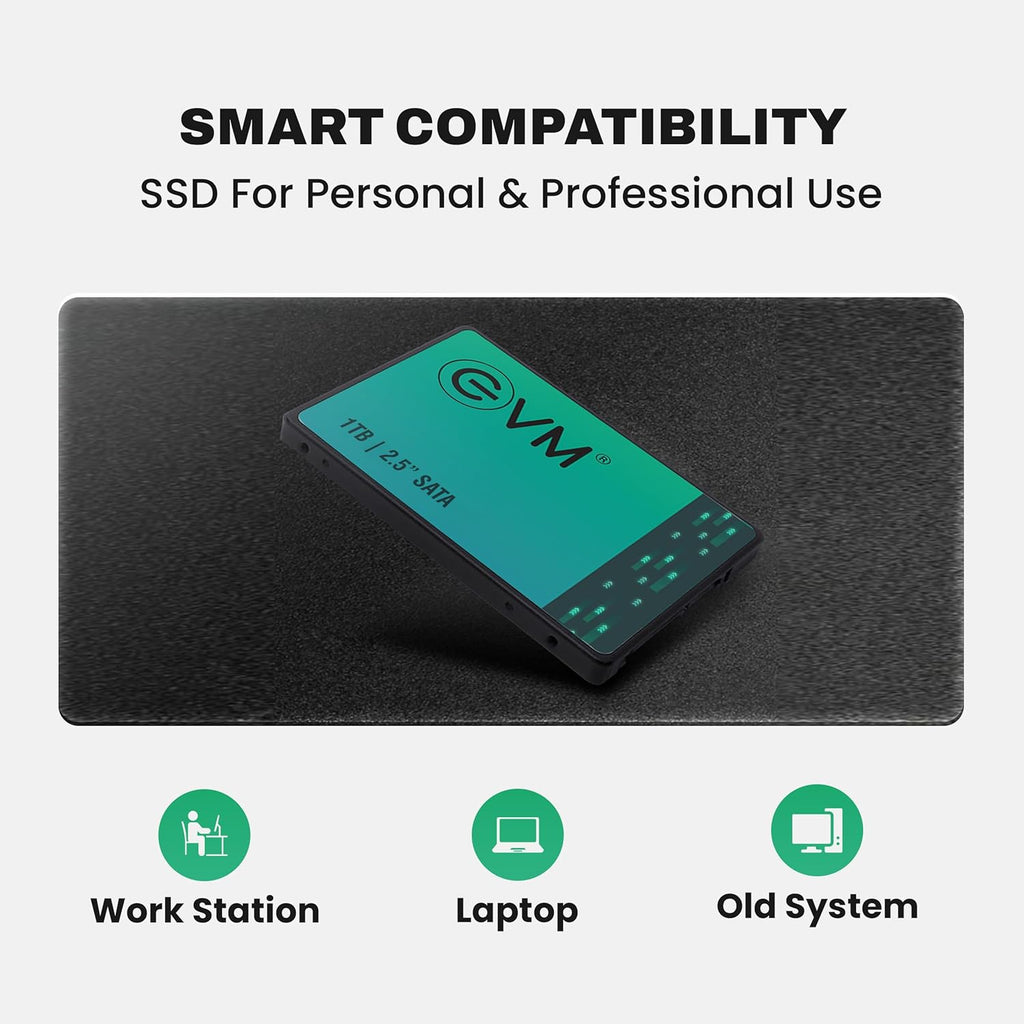 EVM SSD 2.5" SATA3 1TB