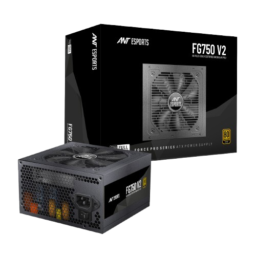 ANT ESPORTS 80+ GOLD 750 WATTS SMPS - FG750V2
