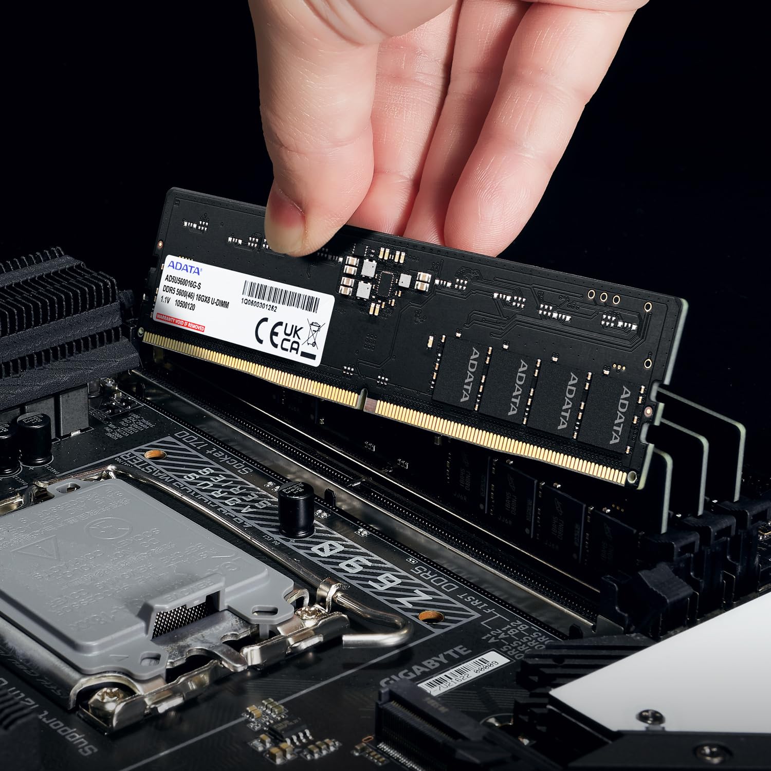 ADATA Premier 16GB DDR5 5600MHz Desktop RAM - Pakshal Impex