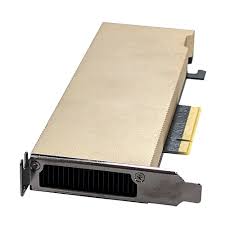 Nvidia A2 LP 16 GB
