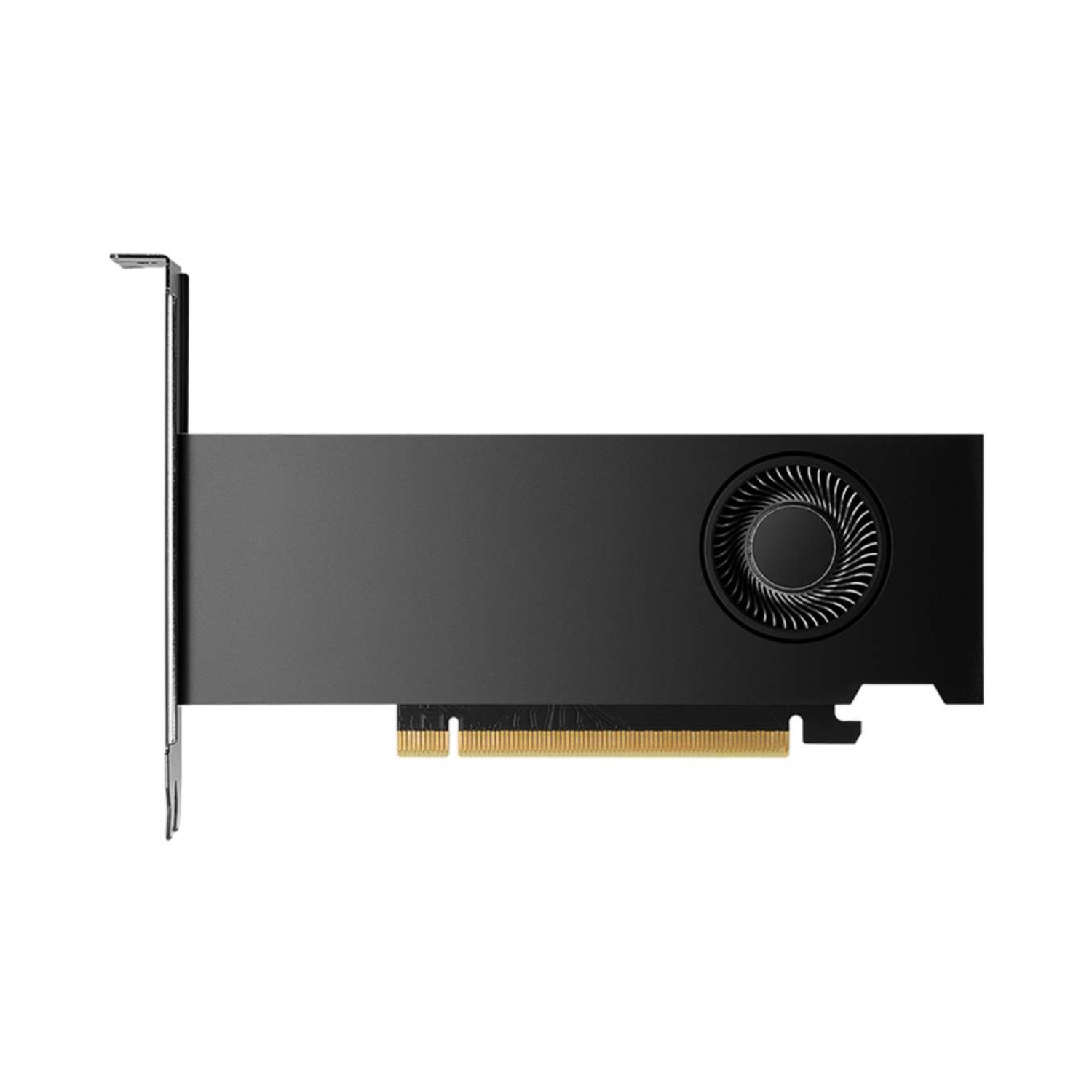 RTX 2000 ADA 16GB PNY
